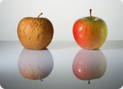 Терпит — значит, любит. Взгляд терапевта на самый опасный миф об отношениях